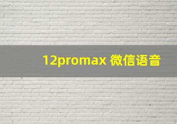 12promax 微信语音